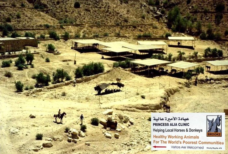 The Brook Hospital for Animals at Petra, founded by the Brooke's patron in Jordan, HRH Princess Alia bint Al Hussein.