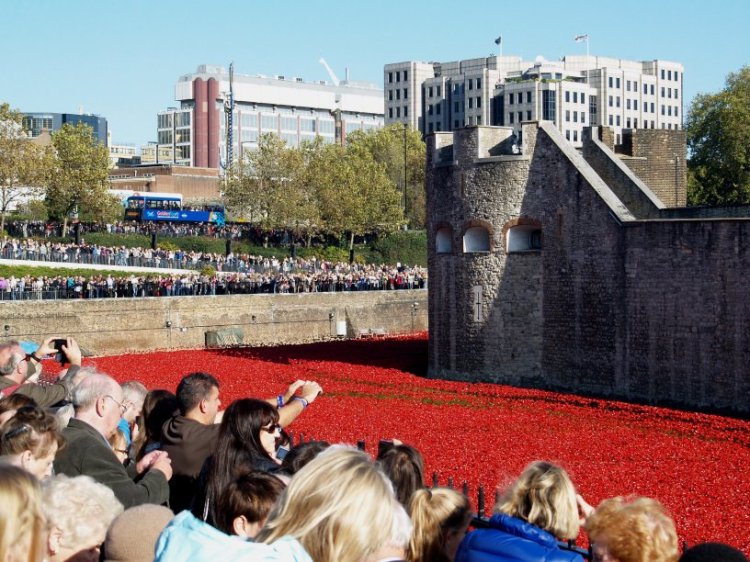 The field of ceramic poppies that fills the moat of the Tower of London. An appropriate memorial to the dead of World War 1.
