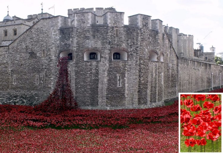 The ceramic poppies "pour" out of the Tower and fill the entire moat.